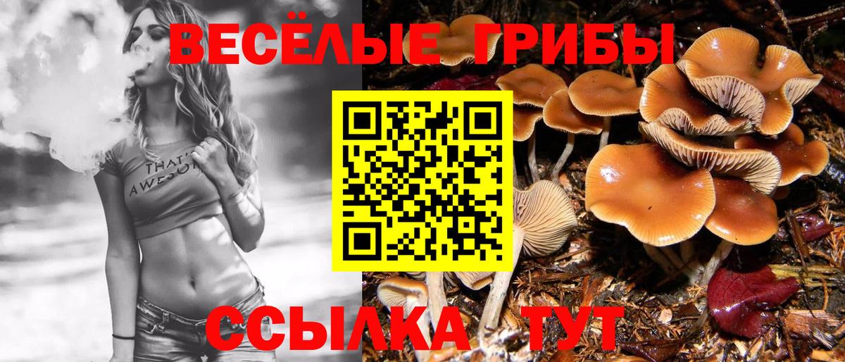 Псилоцибиновые грибы ЛСД Среднеуральск