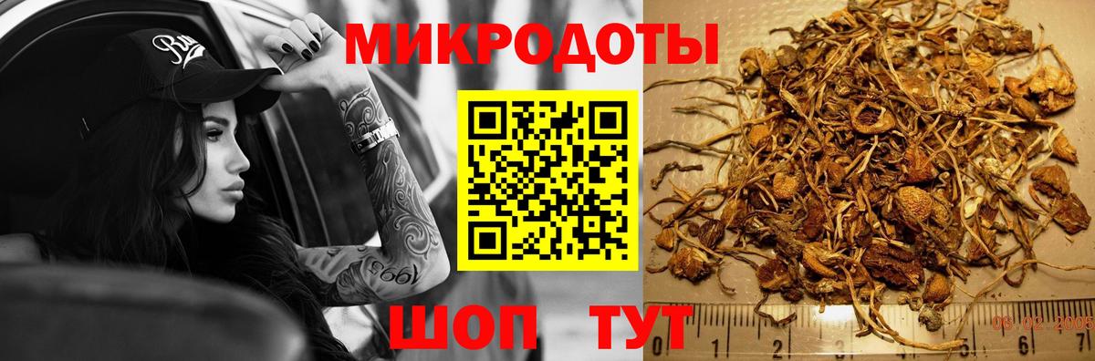 Псилоцибиновые грибы Psilocybine cubensis  цена наркотик  Среднеуральск  Вход с VPN 